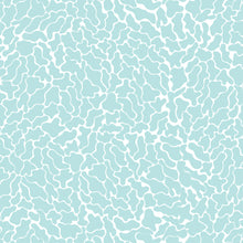 Charger l'image dans la galerie, Léo l'algue