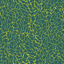 Charger l'image dans la galerie, Léo l'algue