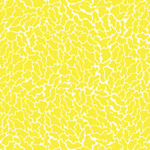 Charger l'image dans la galerie, Léo l'algue