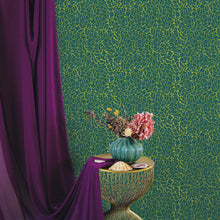 Charger l'image dans la galerie, Léo l'algue