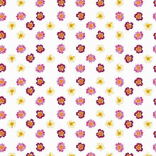 Charger l'image dans la galerie, Primevères