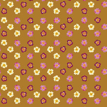 Charger l'image dans la galerie, Primevères