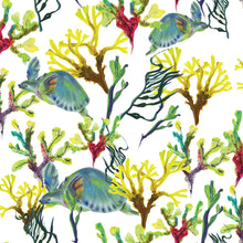 Charger l'image dans la galerie, Tortue me vois tu ?