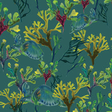 Charger l'image dans la galerie, Tortue me vois tu ?