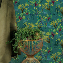 Charger l'image dans la galerie, Tortue me vois tu ?