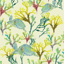 Charger l'image dans la galerie, Tortue me vois tu ?