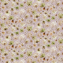 Charger l'image dans la galerie, Ombelles