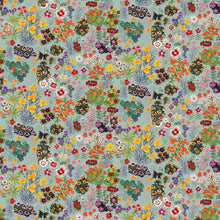 Charger l'image dans la galerie, Plates bandes