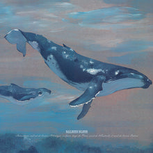 Charger l'image dans la galerie, Reines des océans