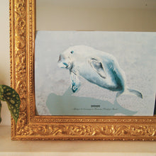 Charger l'image dans la galerie, Dugong