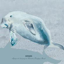 Charger l'image dans la galerie, Dugong