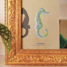 Charger l'image dans la galerie, Cheval de mer