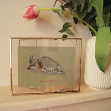 Charger l'image dans la galerie, Tortue au nez de cochon