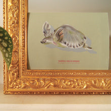 Charger l'image dans la galerie, Tortue au nez de cochon